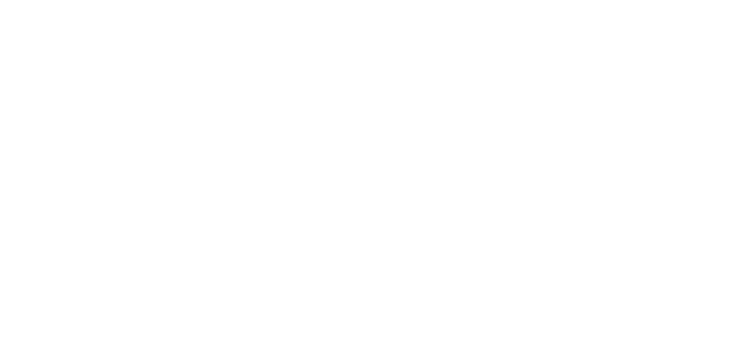 Twist Bidet